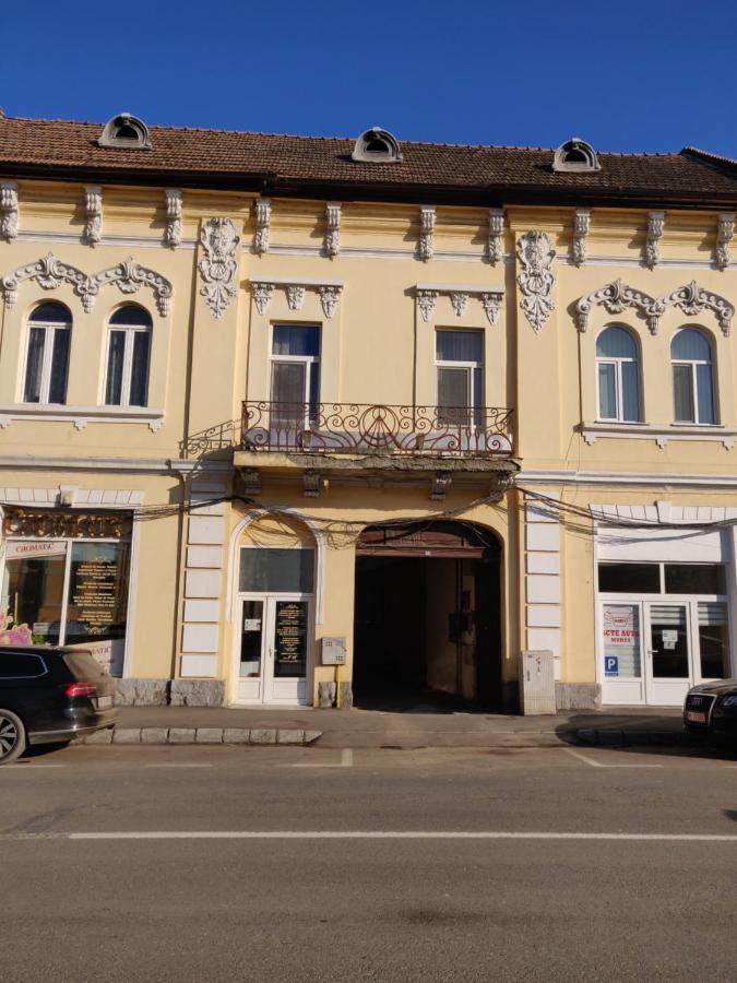 Sandor Central Studio Apartment Târgu-Mureş 外观 照片