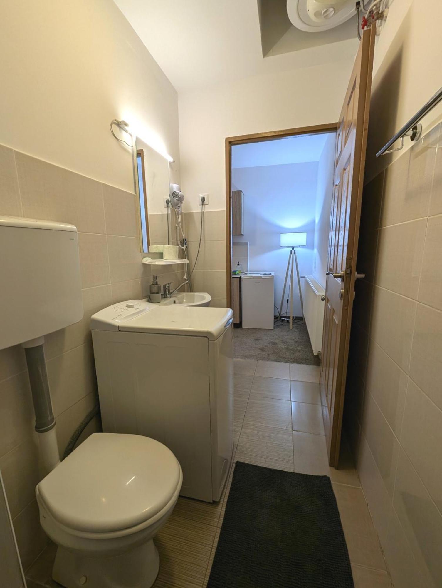 Sandor Central Studio Apartment Târgu-Mureş 外观 照片