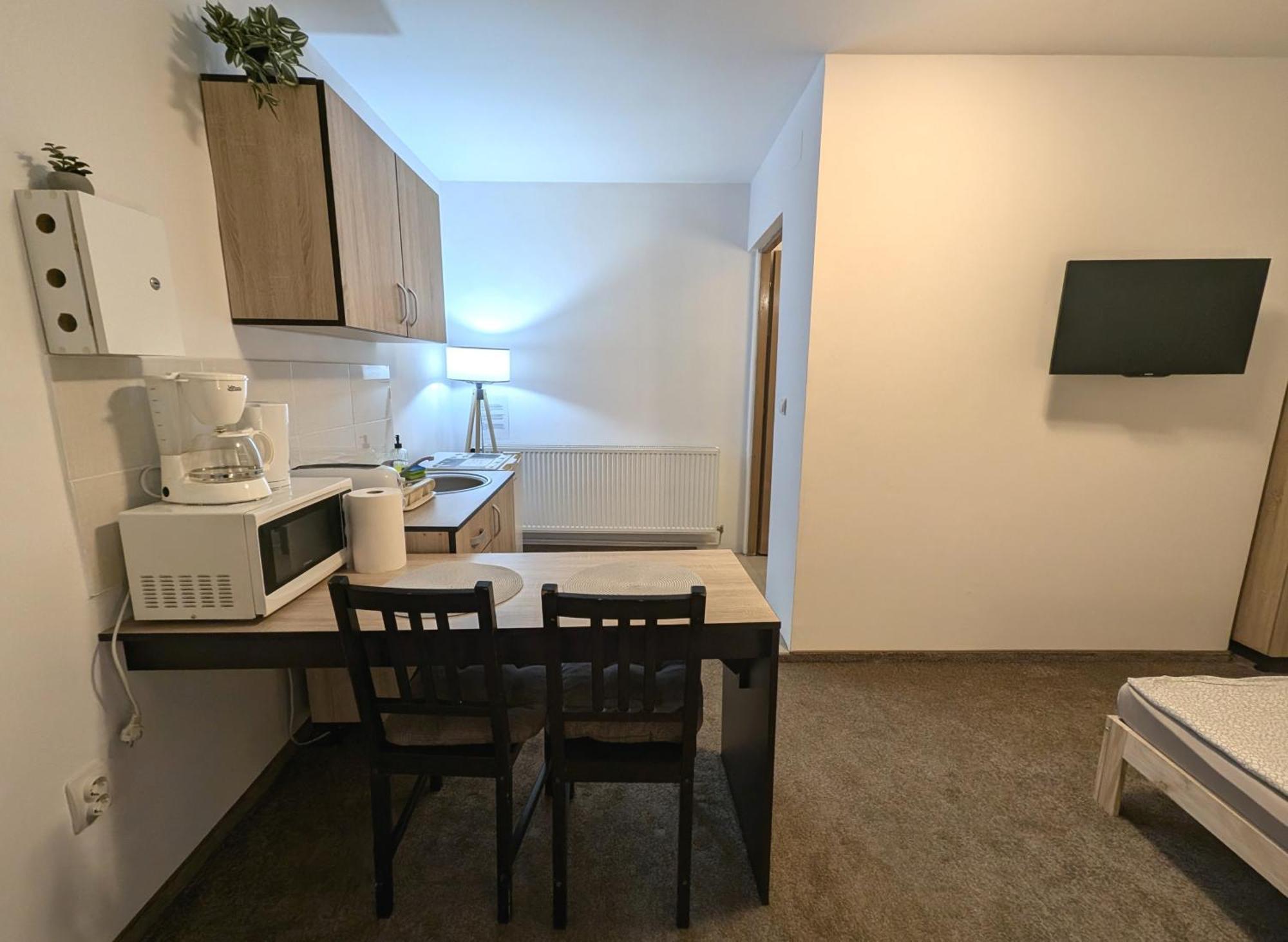 Sandor Central Studio Apartment Târgu-Mureş 外观 照片