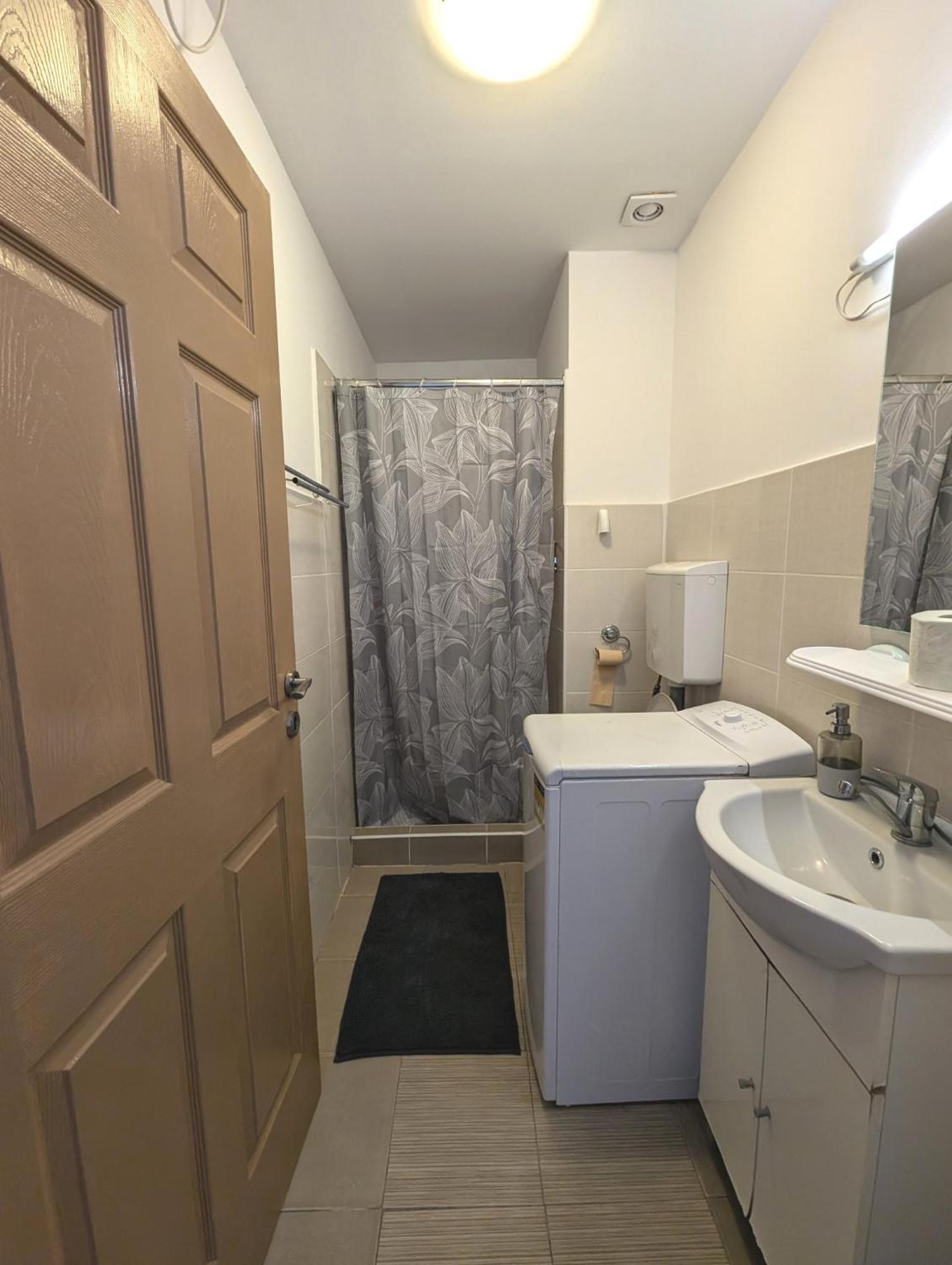 Sandor Central Studio Apartment Târgu-Mureş 外观 照片