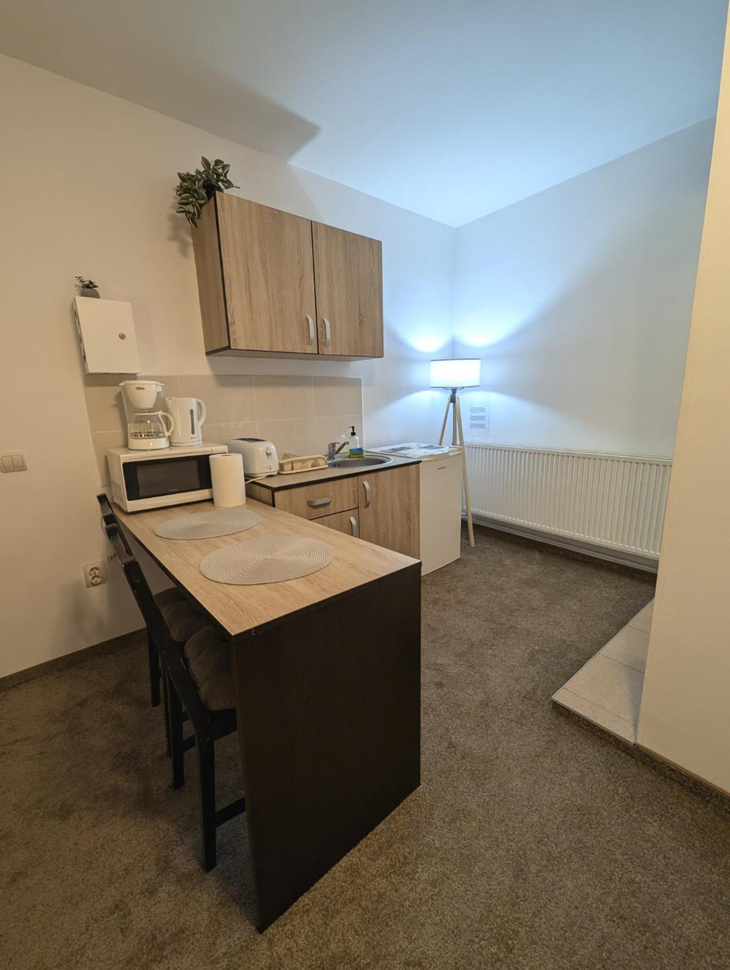 Sandor Central Studio Apartment Târgu-Mureş 外观 照片